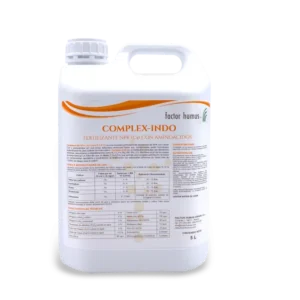 COMPLEX-INDO